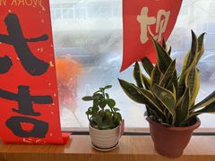 -大邱大包