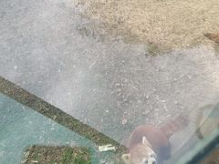 -无锡动物园·太湖欢乐园