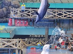 -海合安成都极地海洋公园