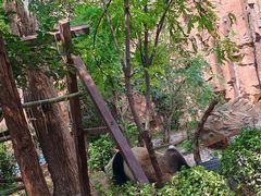 -五龙山野生动物王国