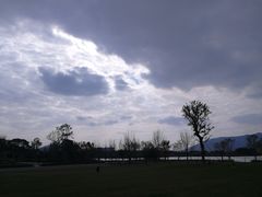-长田漾湿地公园