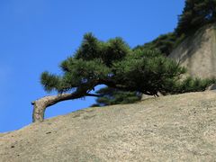 -天柱山风景区
