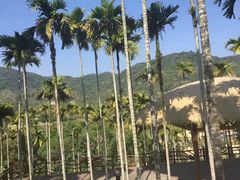 -海南槟榔谷黎苗文化旅游区