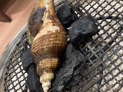 -潮汕味道·煮海餐厅(金麟大厦店)