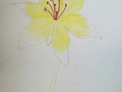 -谷隆画舍·国画书法素描彩铅水彩