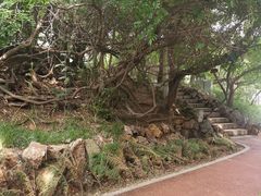 -大连植物园