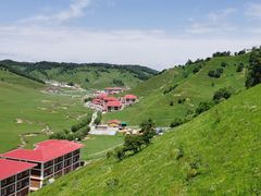 -关山草原