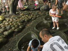 -成都市活水公园