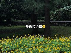 -贵阳市花溪国家城市湿地公园