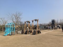 -上海长兴岛郊野公园