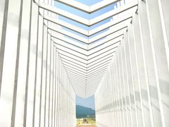 -风云岭森林公园