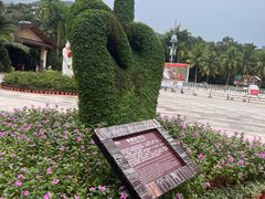 -呀诺达热带雨林