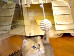 -宠颐生宠物医院外科·内科·皮肤科·影像科(石龙店)
