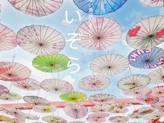 -都江堰玫瑰花溪谷