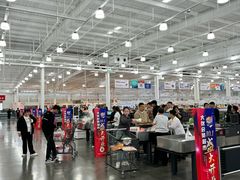 -洛阳郁金香牡丹园