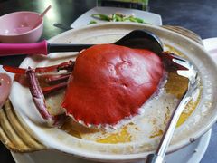 -龙海鲜螃蟹王(宏茂桥店)