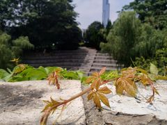 -南京城墙景区