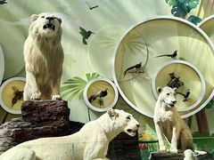 -陕西自然博物馆