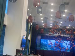 -饭怕鱼(阳光100店)