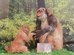 -房山世界地质公园博物馆