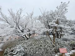 -江南天池
