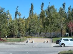 -亿利库布其七星湖沙漠生态旅游区