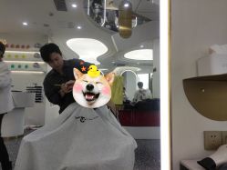 点击看大图 -3am hair salon烫发染发接发