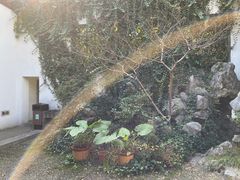 -南京市民俗博物馆(甘熙宅第)