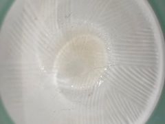 -椰夫人·养生椰子鸡(金沙洲永旺店)