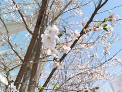 -UNI UNI(环亚凯瑟琳店)