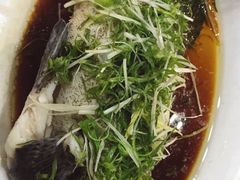 清蒸老鼠斑-雅憩花园餐厅