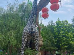 -中华郡文化旅游景区