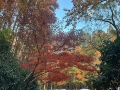 -宋宴(虎跑店)