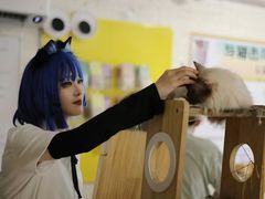 -平行世界·猫咖(首经贸店)