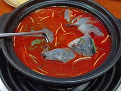 -凯里酸汤鱼