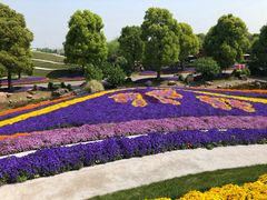 -南通洲际绿博园