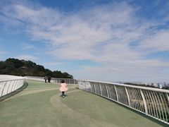 -飞凤山奥体公园