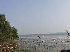 -欢乐海岸椰林沙滩-2025湾区超级灯会