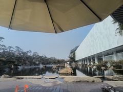 -罗红摄影艺术馆