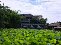 -莫催咖啡