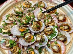 -单家老院·院子里的青岛菜(沙子口店)