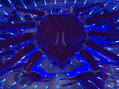 -蟹之国·精品蟹料理(极地店)