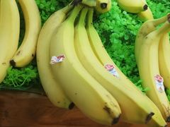 -百果园(愉景南苑店)