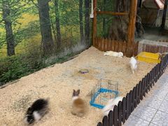 -上海大自然野生昆虫馆(东方明珠·爬宠昆虫探索中心)