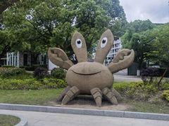 -朱家尖南沙景点
