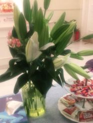 -静博士·养生养颜