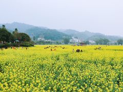 景点-红山村