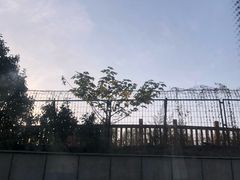 -黄老邪中医推拿馆(铜坊苑小区店)
