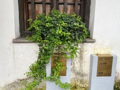 -青果巷历史文化街区
