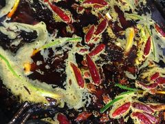 红汤锅底-毛子老火锅